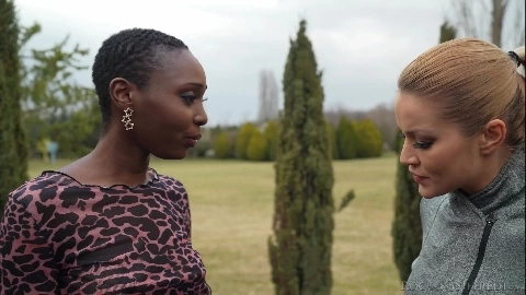 Zaawaadi - Rocco Siffredi