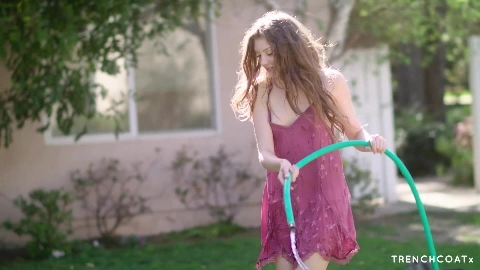 Sun Lit - Elena Koshk