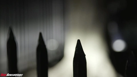 Daisy Fuentes - NewSensations