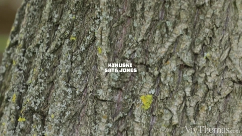 Kinuski And Sata Jones Alfresco Feast - VivThomas