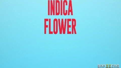 Diner Vaginer in HD - Indica Flower