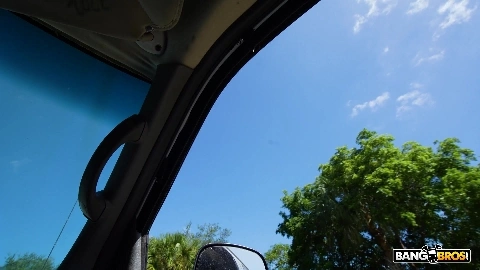 The Snowfall On The Bus - Kenzie Snow