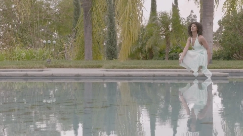 Ebony Fever Scn1 - Misty Stone