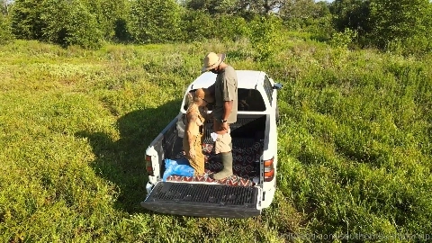 Poppi 02 - Baree Swamp