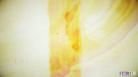 Vanna Bardot - LucidFlix - After Dark