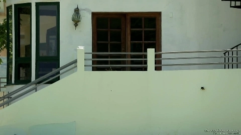 The Neighbors 2 - Lily LaBeau