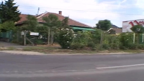 Cheek Freaks 5 - Simony Diamond