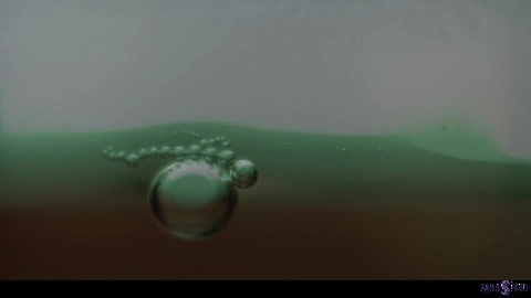 Clemence Audiard Dolly X And Milan Cheek The Cure - Parasited