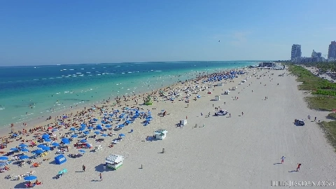 Alexistexas pinckpeant