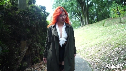 The Dream Maid - Hanna Mills Lola Hendricks Logan Salamanca