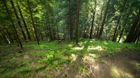 Omg! We Were Almost Spotted During a Blowjob! Fucking a Tight Pussy. Cum on Her Face - Nikky Dandeli